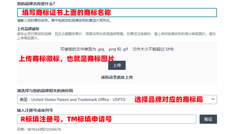 2026年最新亚马逊品牌备案流程